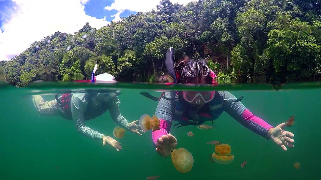 Ekosistem Unik Sedunia Hanya Di Kalimantan Timur